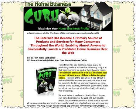 The Home Business Guru