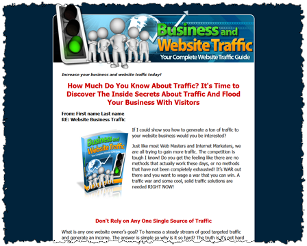 Business And Website Traffic