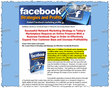 Facebook Strategies and Profits