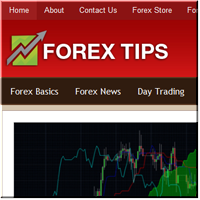 Forex Tips