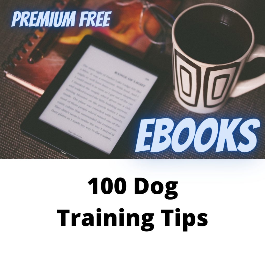 100 Dog Training Tips